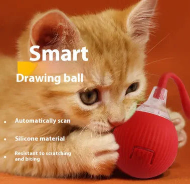 Interactive Cat Toy Ball